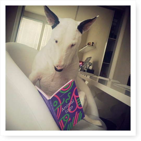 English Bull Terrier reading a book about logos
